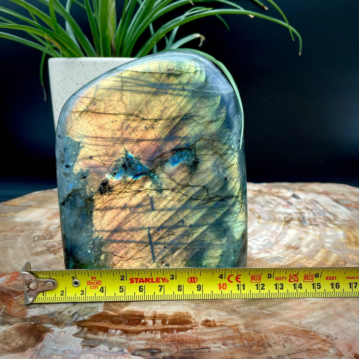 Labradorite freeform for interior styling