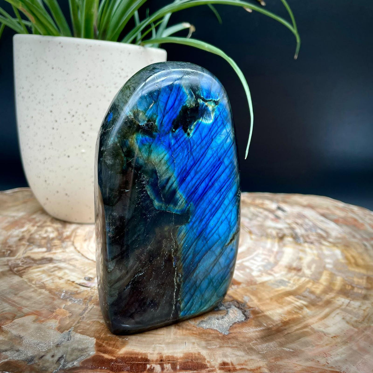 Labradorite freeform for luxury home decor