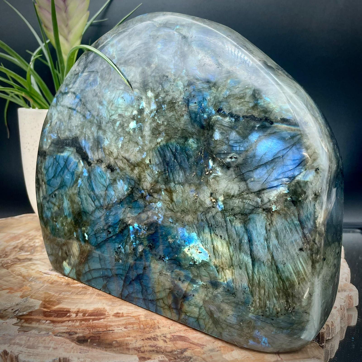 Labradorite freeform for mineral collectors