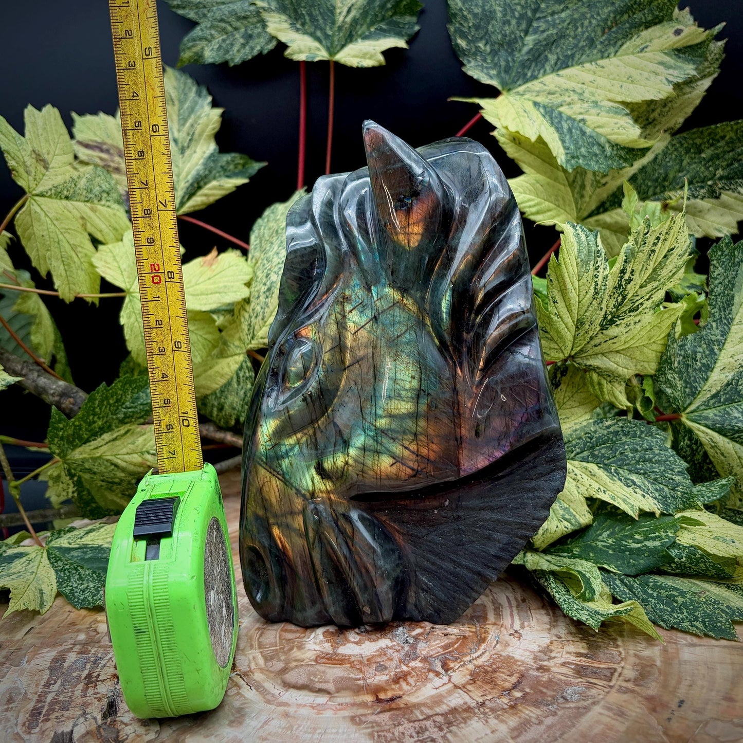Front view of polished Labradorite horse head sculpture