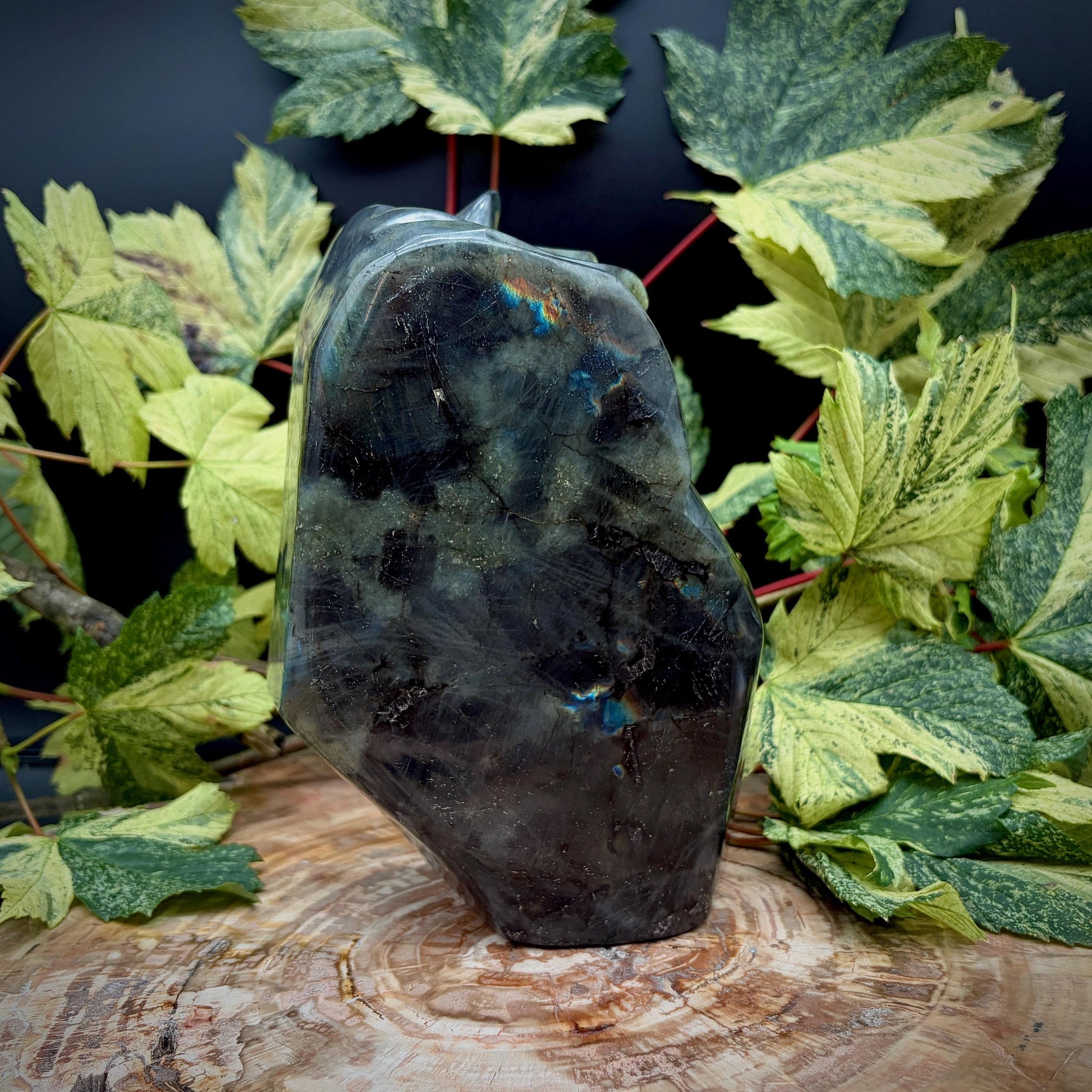 Side view of hand carved Labradorite horse head