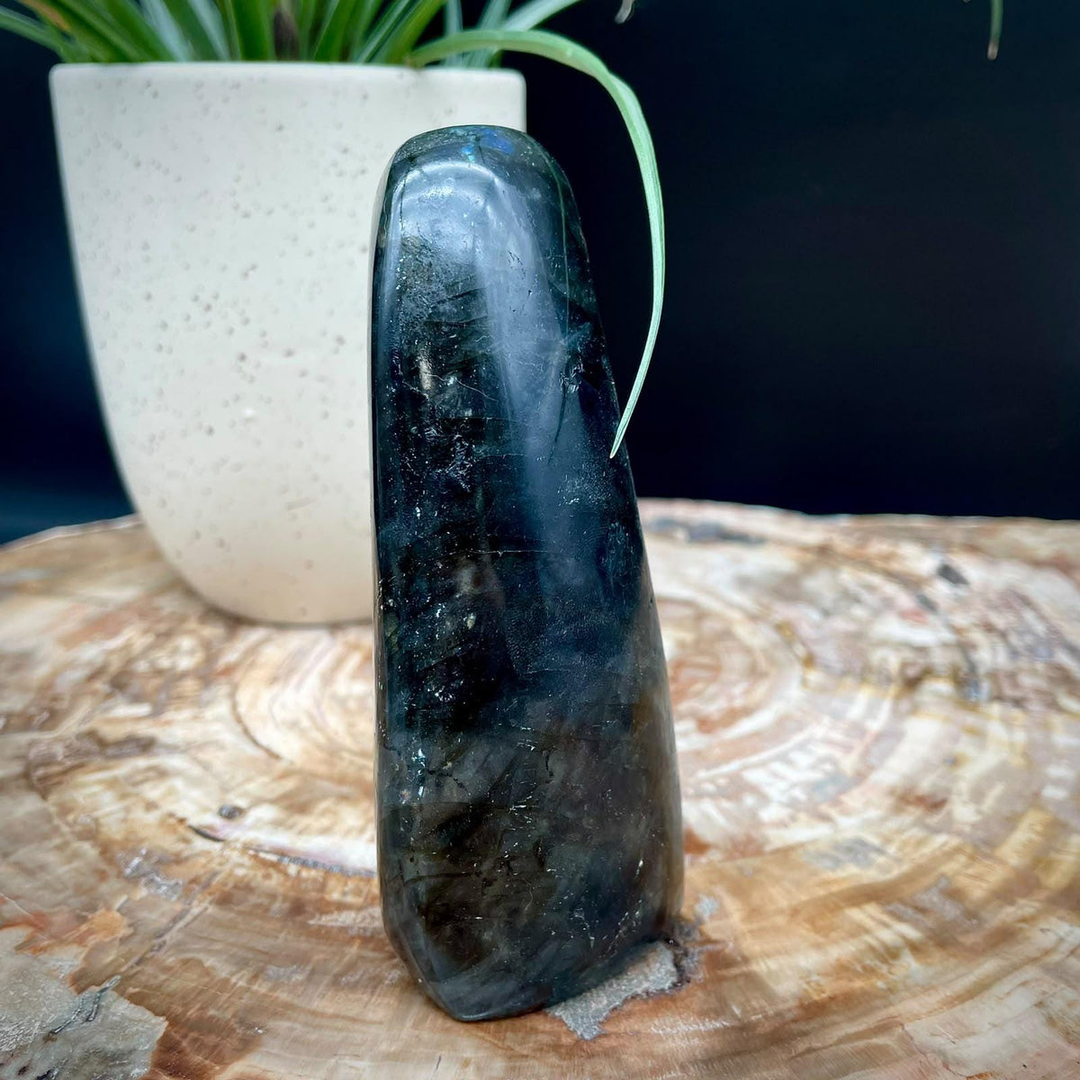 Labradorite freeform for interior display