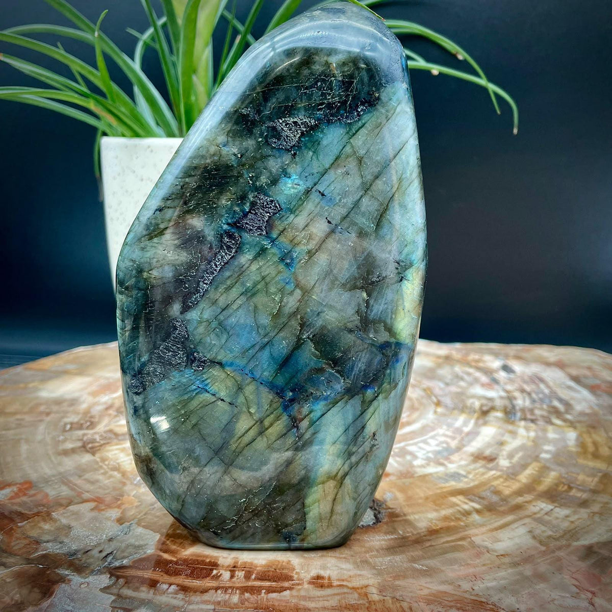 Labradorite mineral specimen for collectors