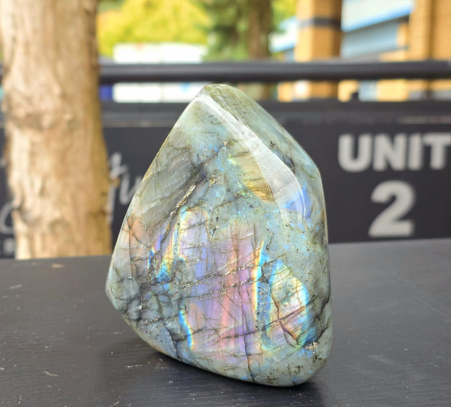 Display-ready polished stone.