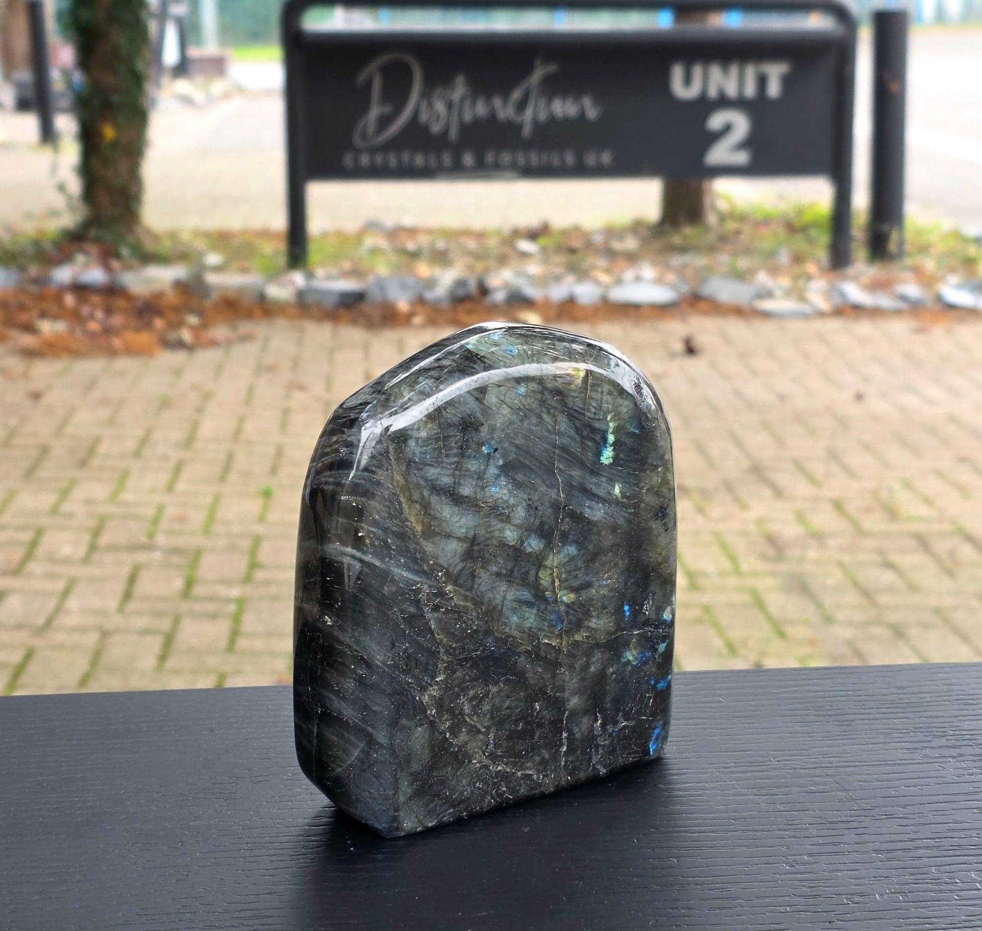 Front face showing sheen and detail.