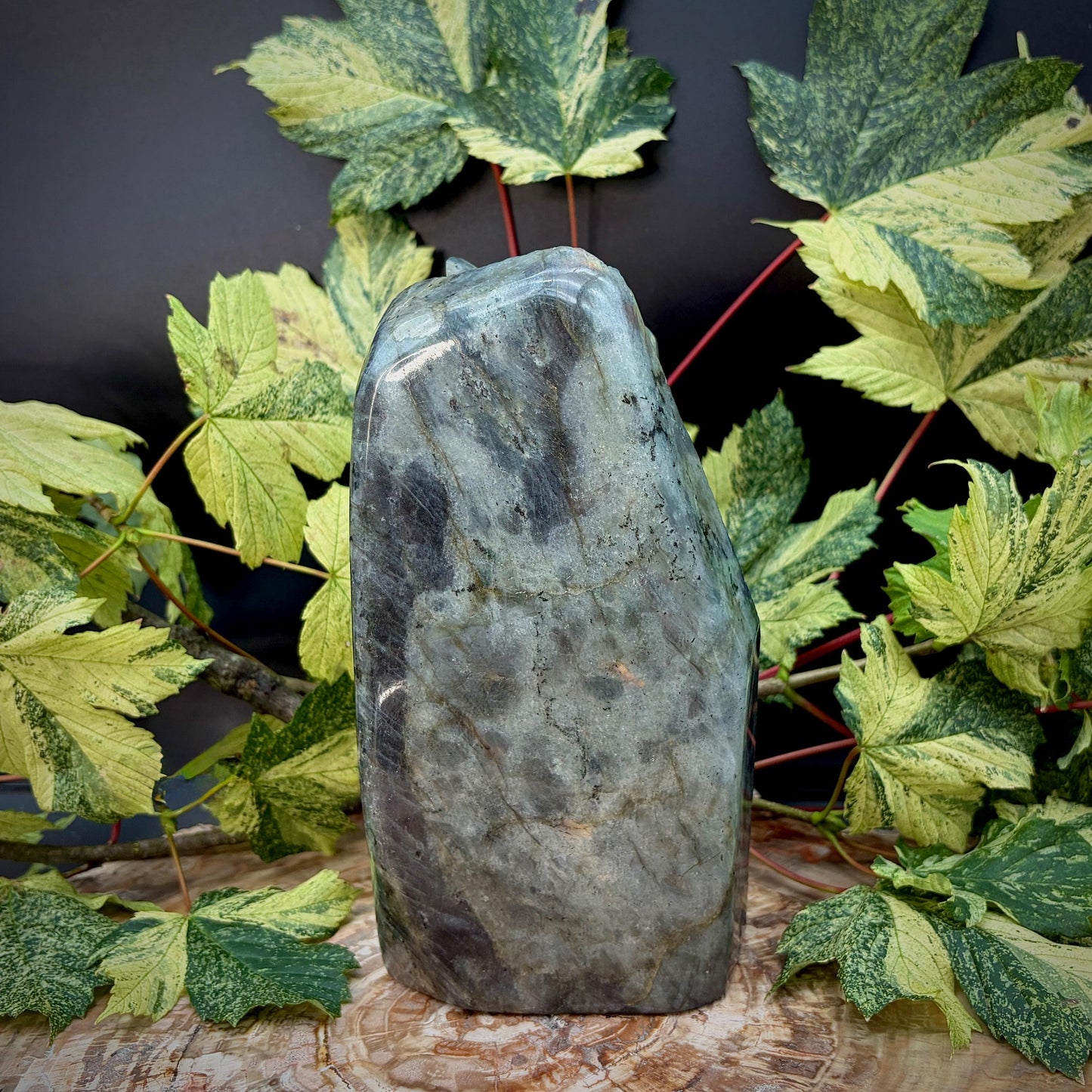 Labradorite seahorse decorative sculpture