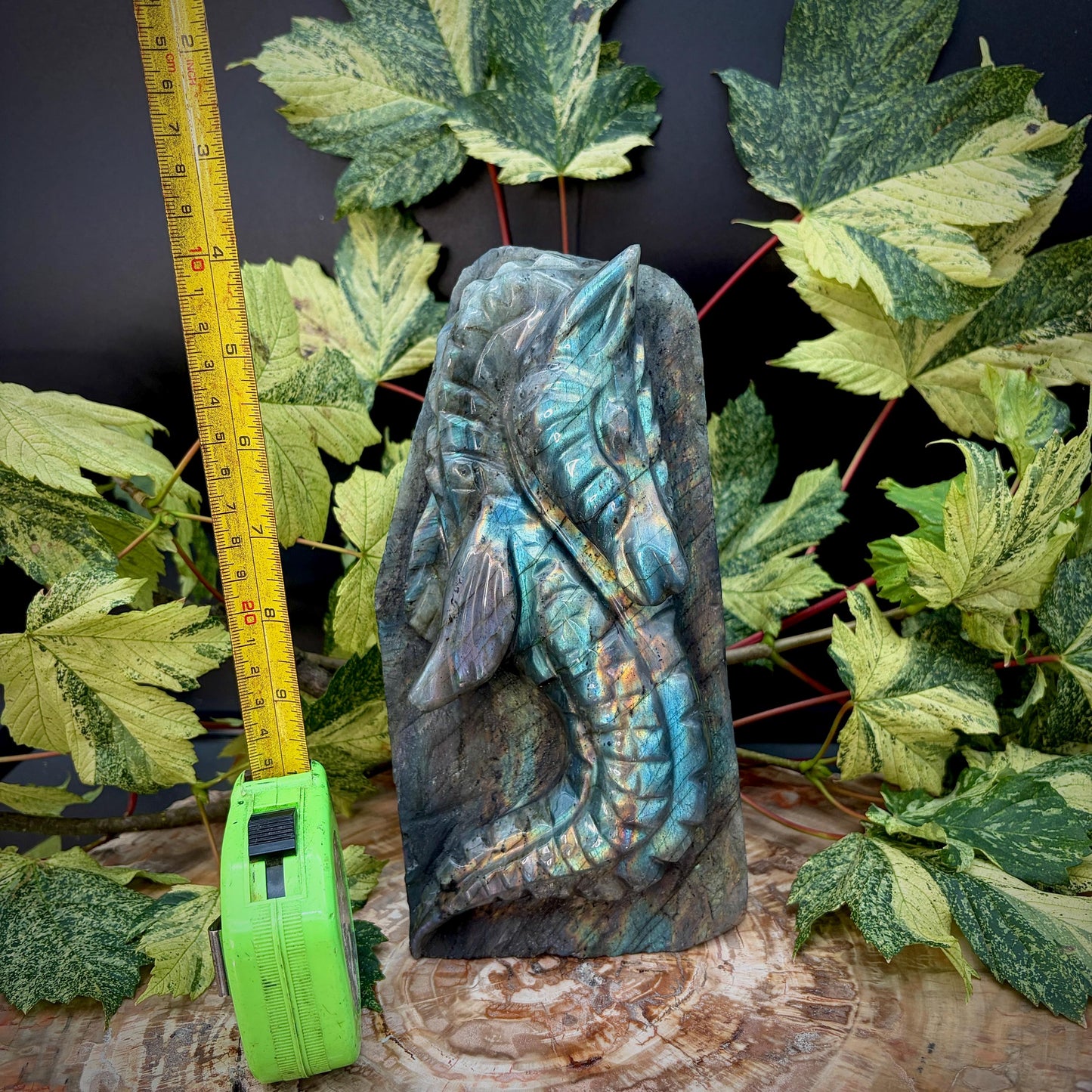 Labradorite seahorse showing natural labradorescent flash