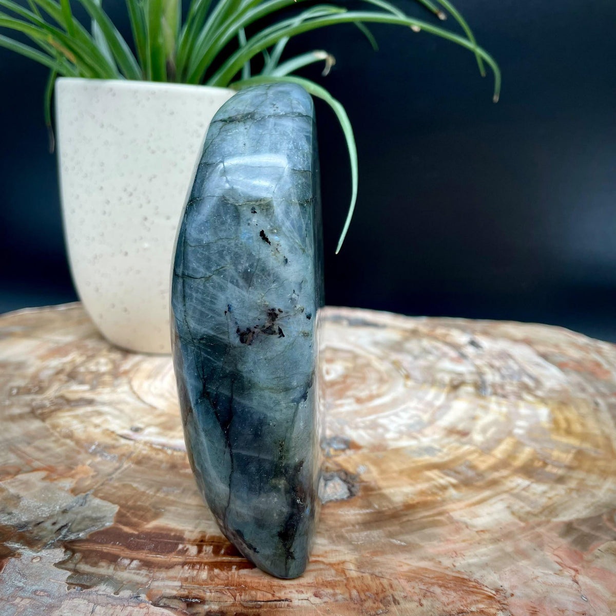 Labradorite freeform for shelf decor