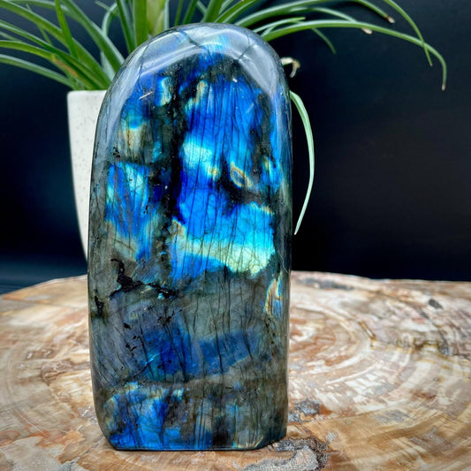 Labradorite statement crystal freeform