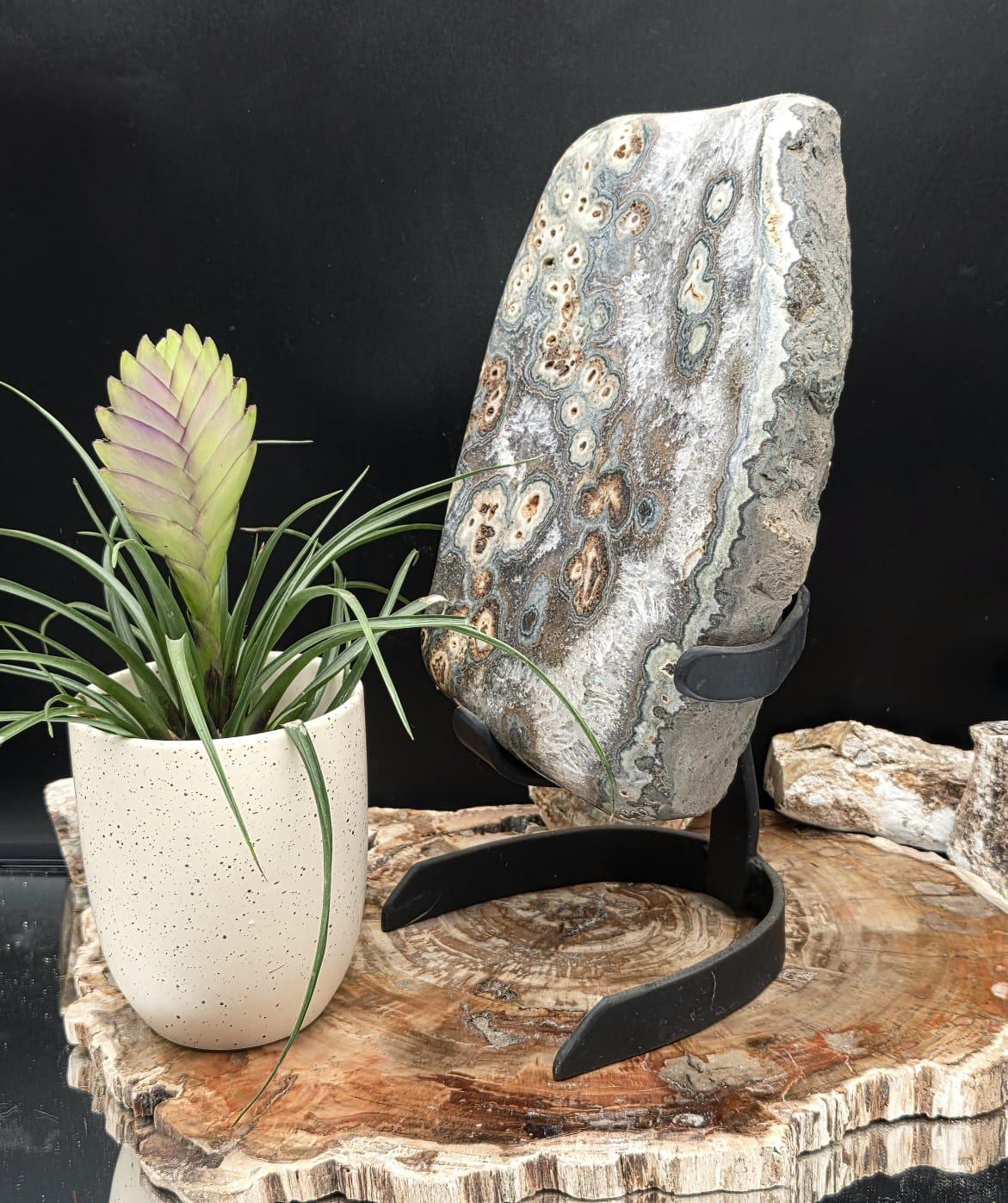Large natural Agate and Quartz statement mineral on a custom stand