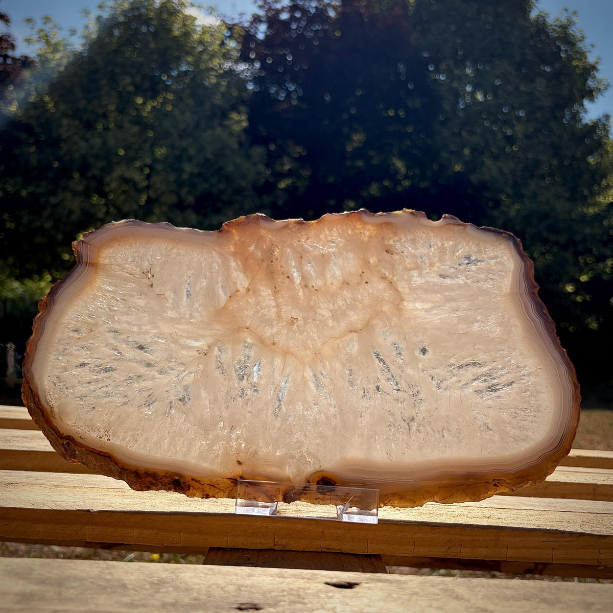 Large Agate slice displayed as statement interior decor