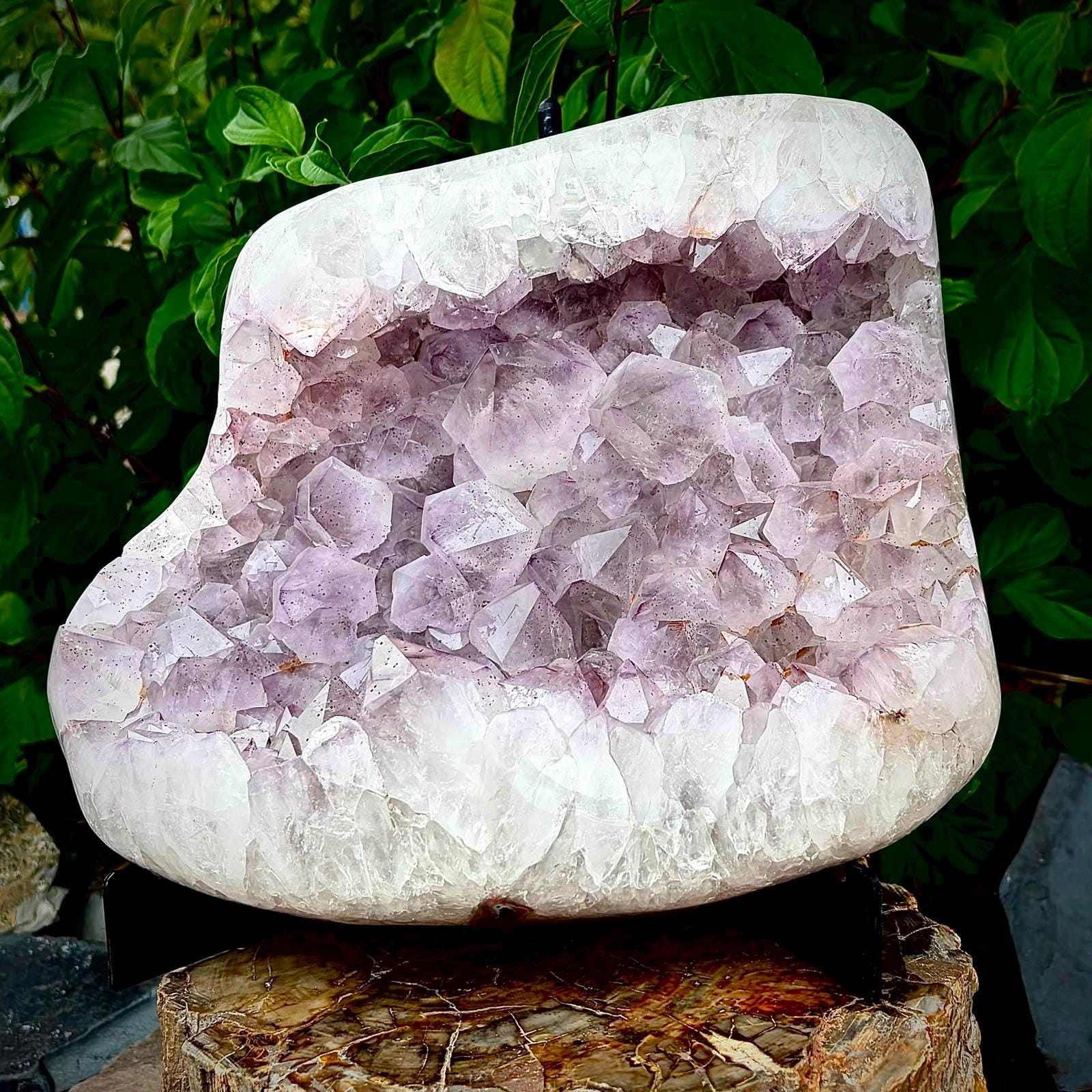 Large natural Amethyst cluster weighing 14.55kg