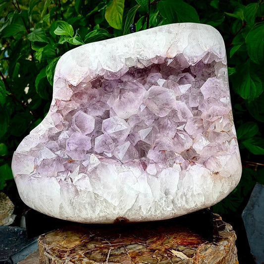 Large natural Amethyst cluster weighing 14.55kg