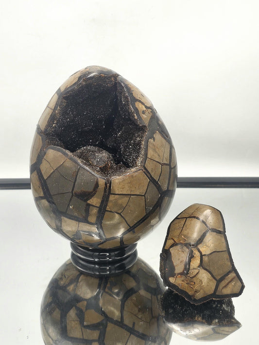 Front view of a Very Large Black Septarian Crystal Egg with polished patterns from Madagascar.