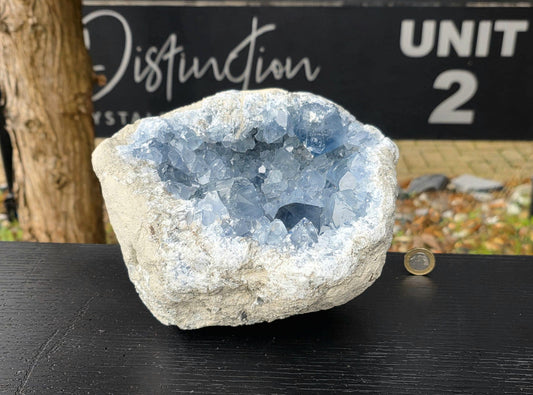 Large blue celestite crystal used as luxury interior decor