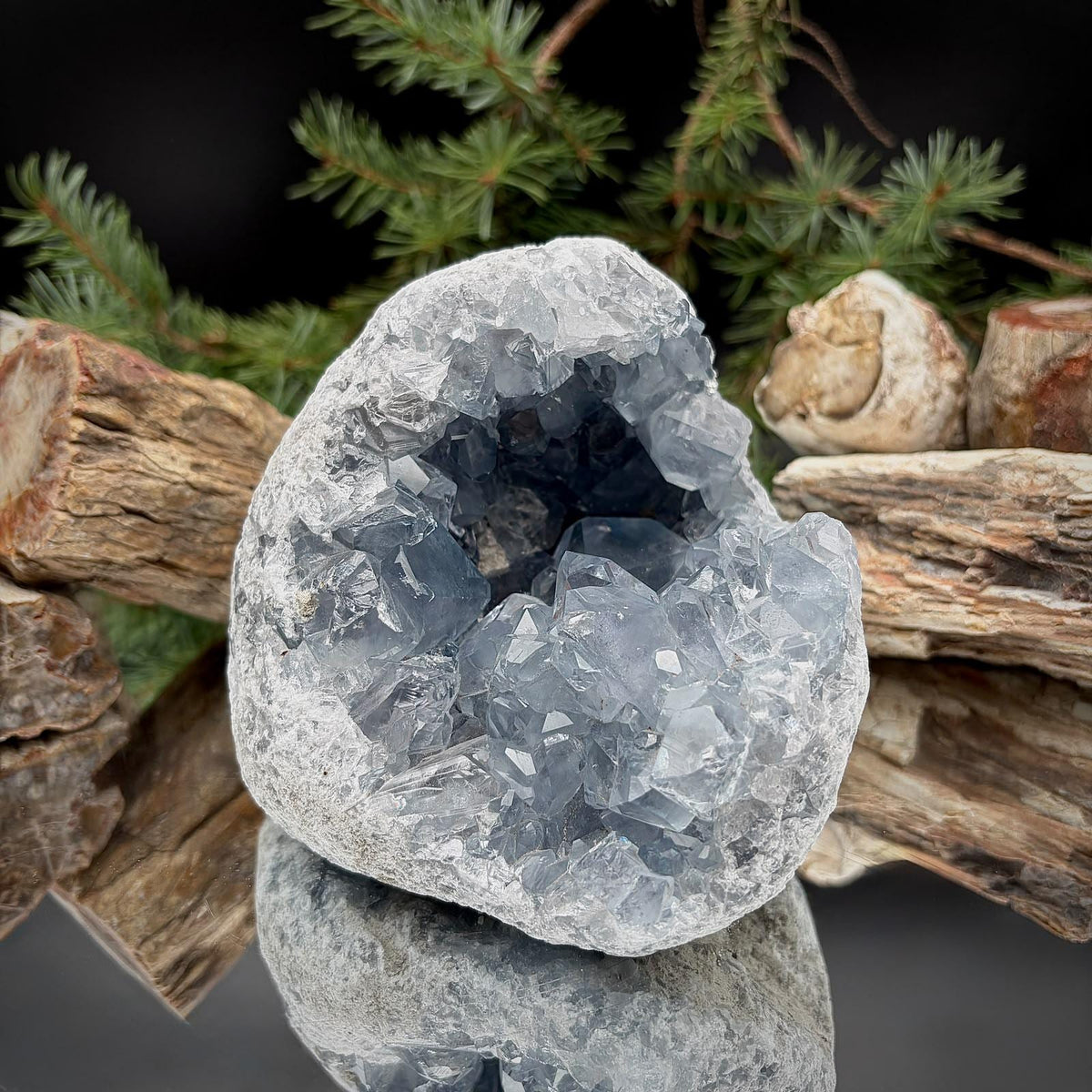 Large Madagascan Celestite geode weighing 1.92kg with blue-grey crystals within a naturally rounded stone cavity.