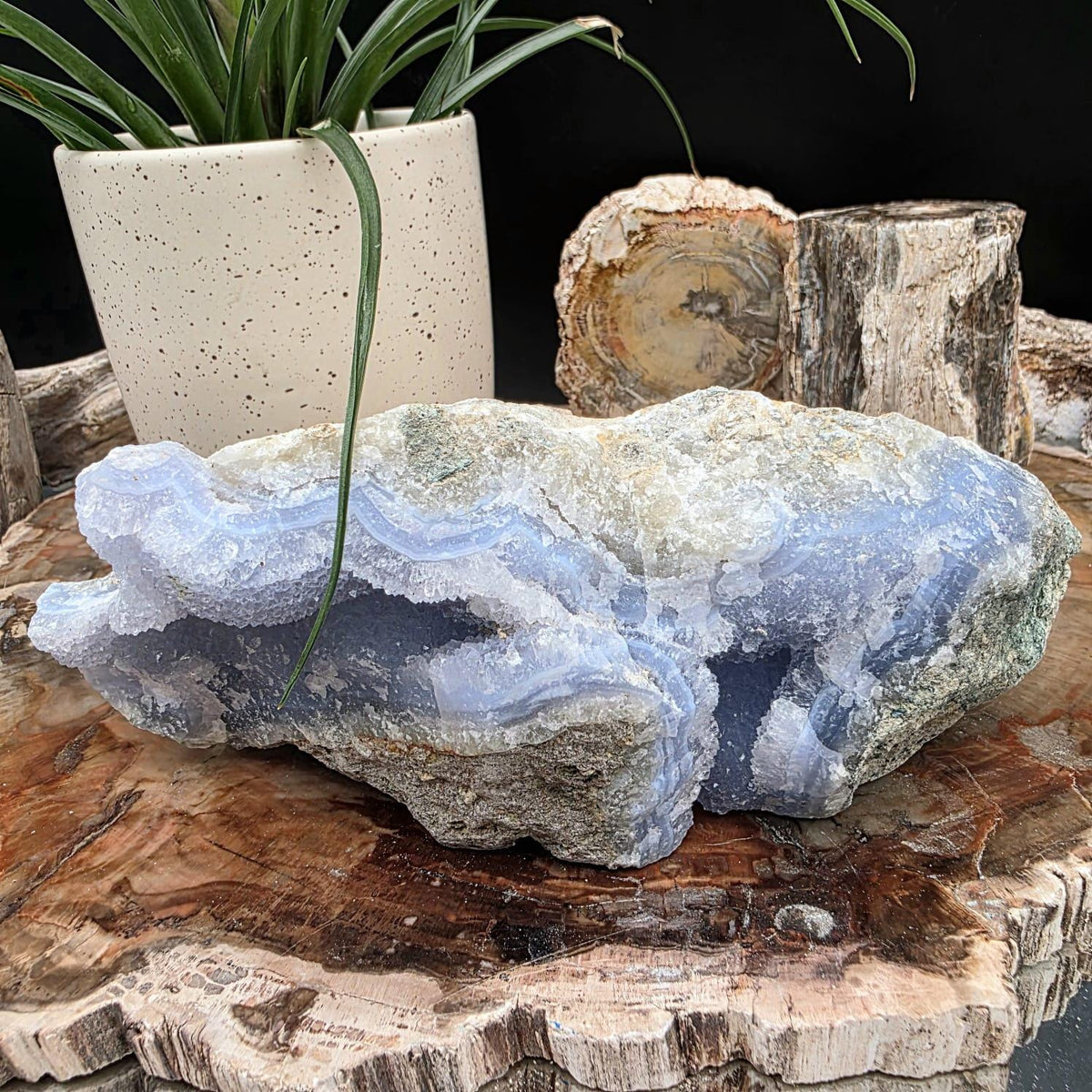 Large Blue Lace Agate geode for statement display
