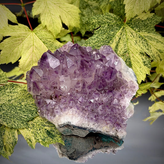Natural amethyst crystal cluster with purple crystal points displayed on a reflective surface.