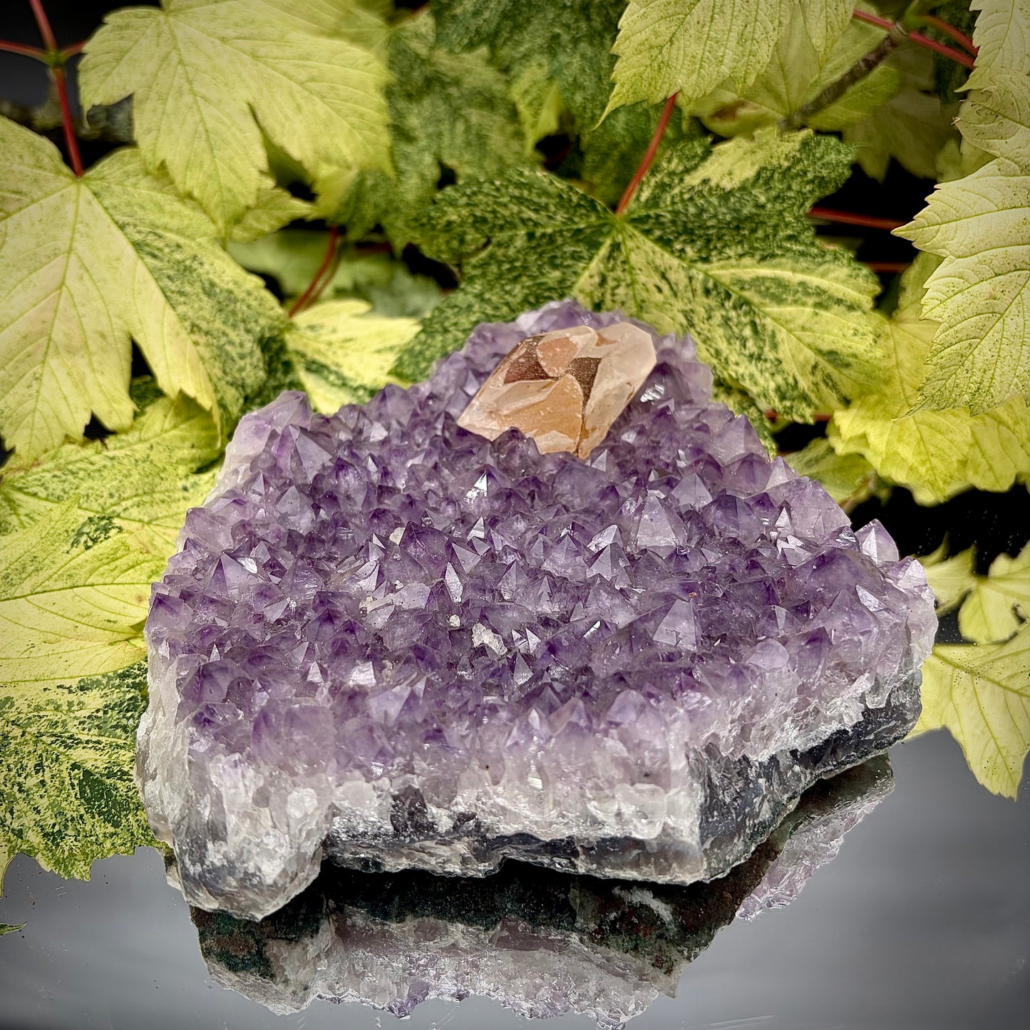 Natural amethyst crystal cluster with purple crystal points displayed on a reflective surface.