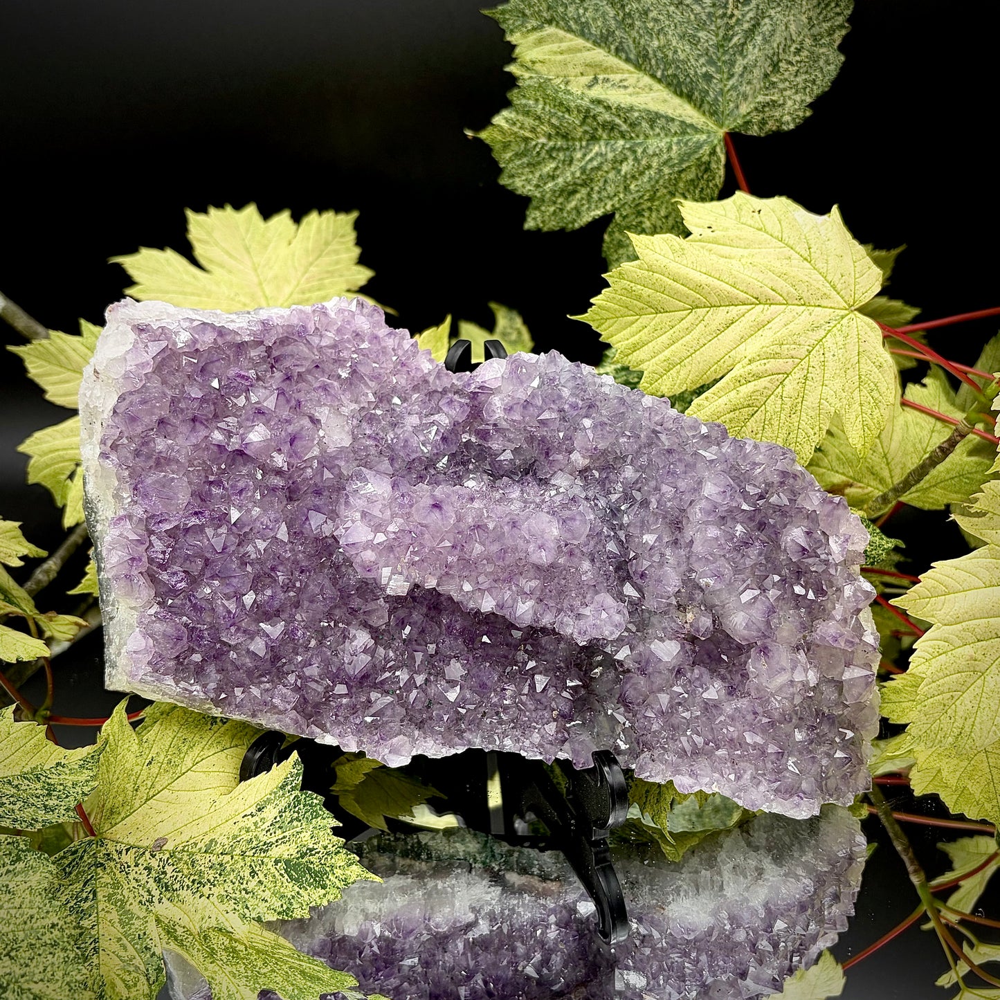 Natural amethyst crystal cluster with purple crystal points displayed on a reflective surface.