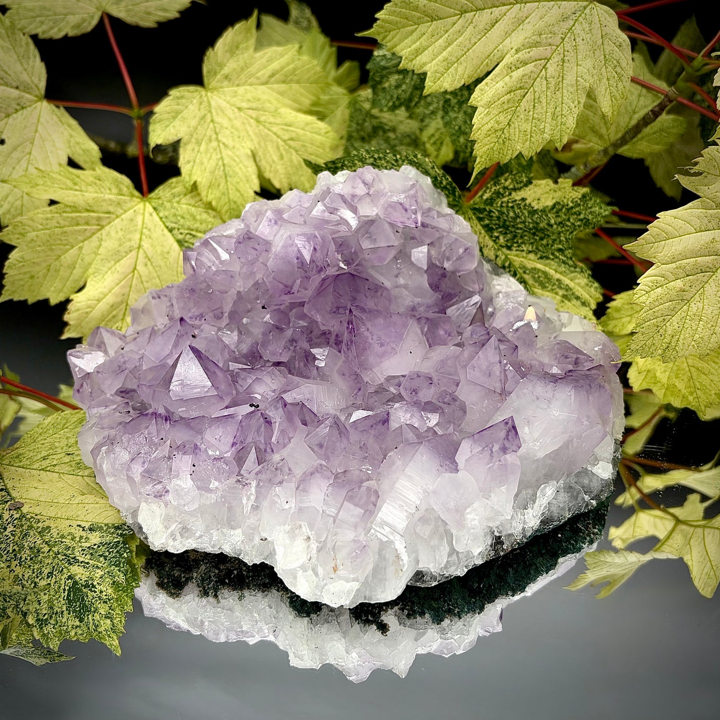 Natural amethyst crystal cluster with purple crystal points displayed on a reflective surface.