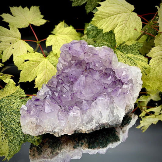 Natural amethyst crystal cluster with purple crystal points displayed on a reflective surface.
