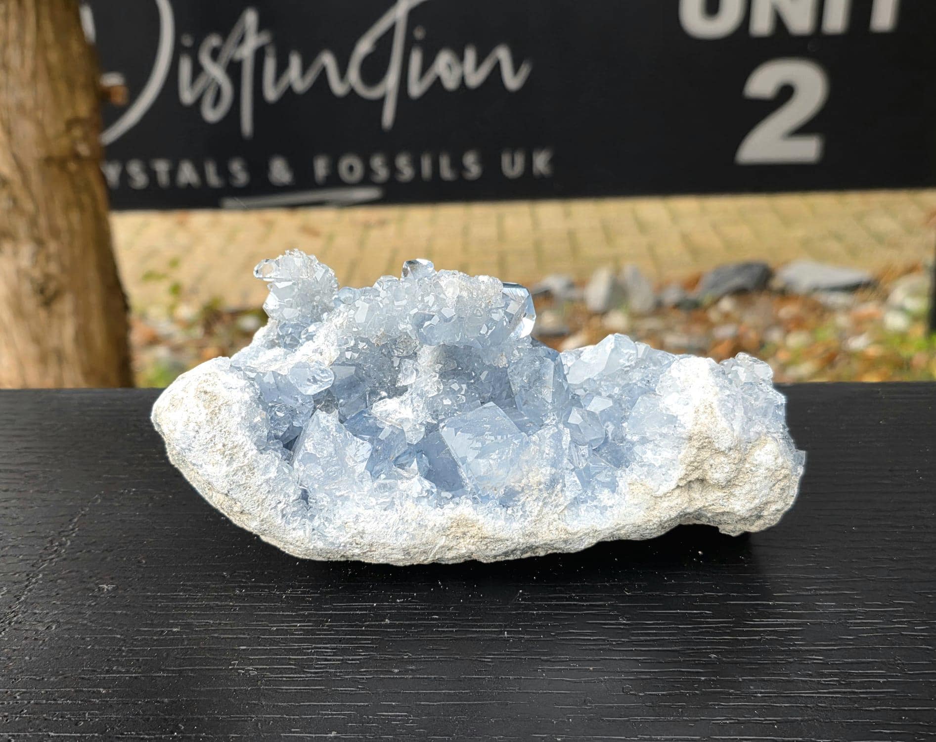 Large celestite cluster gift idea with soothing blue tone