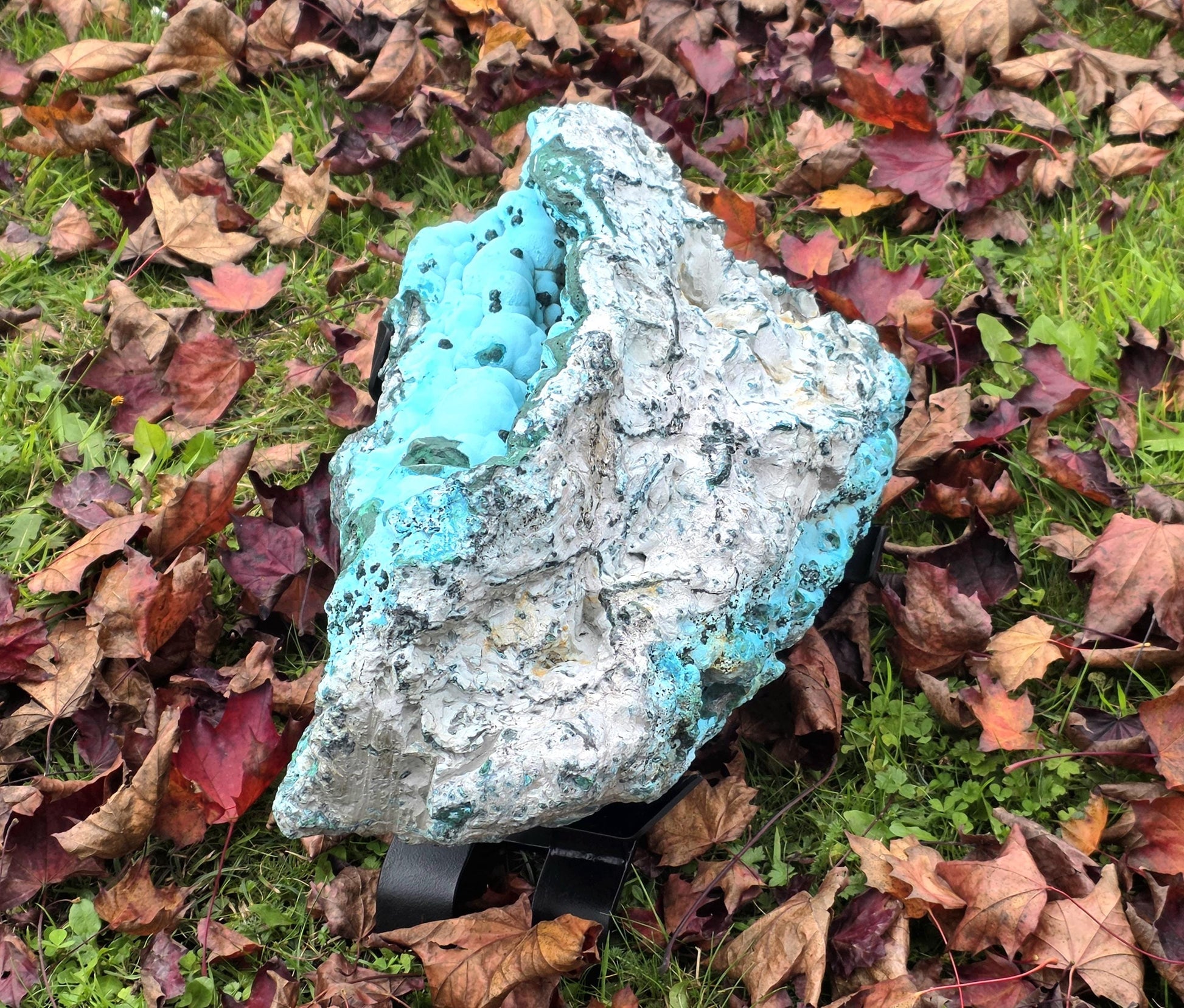 Large Chrysocolla specimen with rich Malachite veins and metallic copper tones.