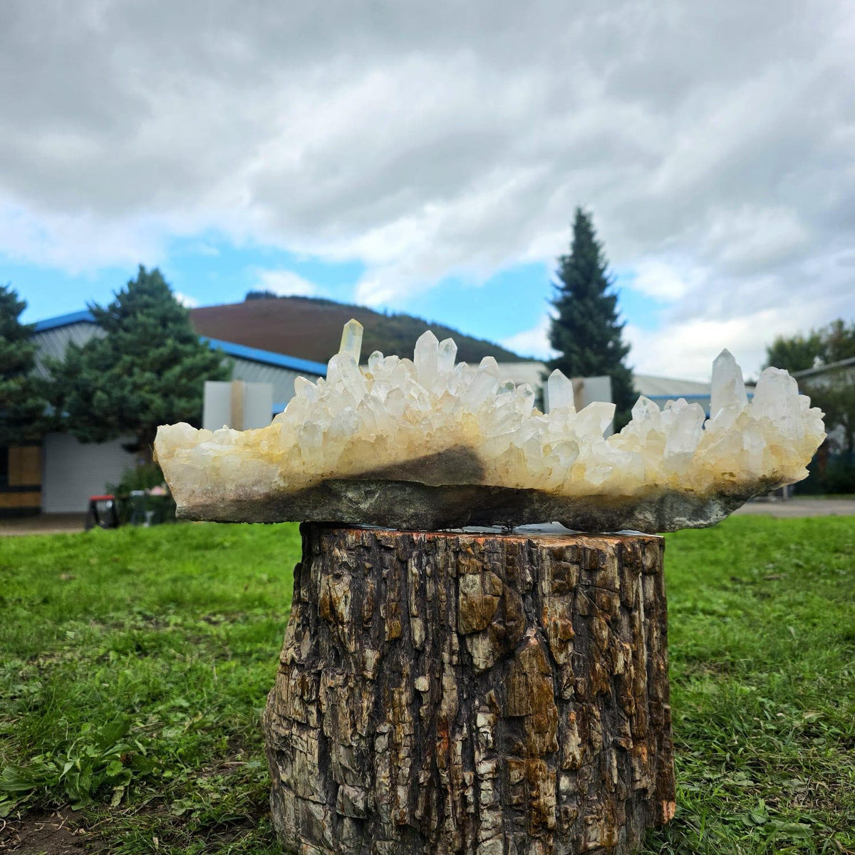 Large natural Clear Quartz crystal specimen