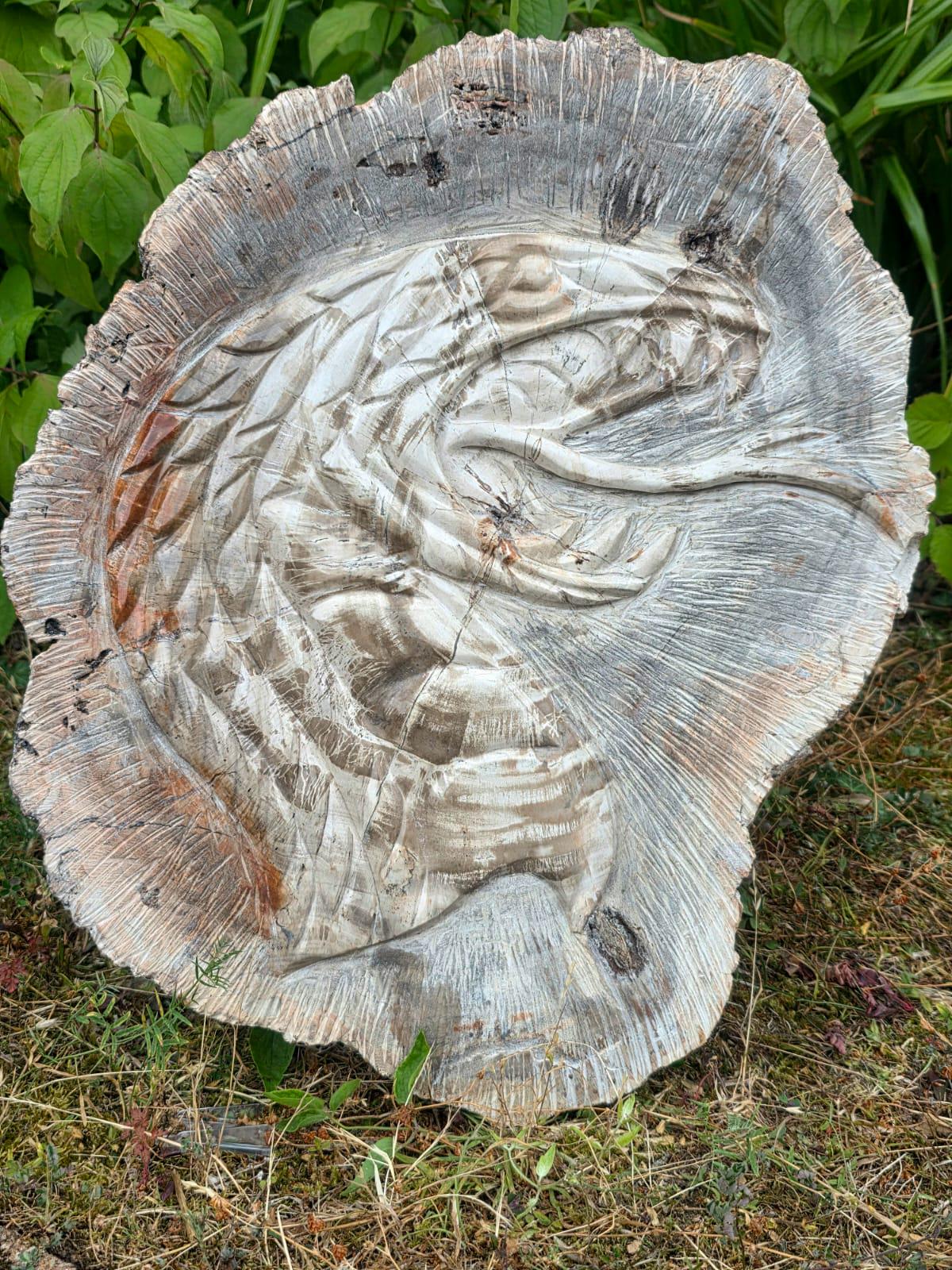 Exact petrified wood cobra chosen by Distinction Crystals