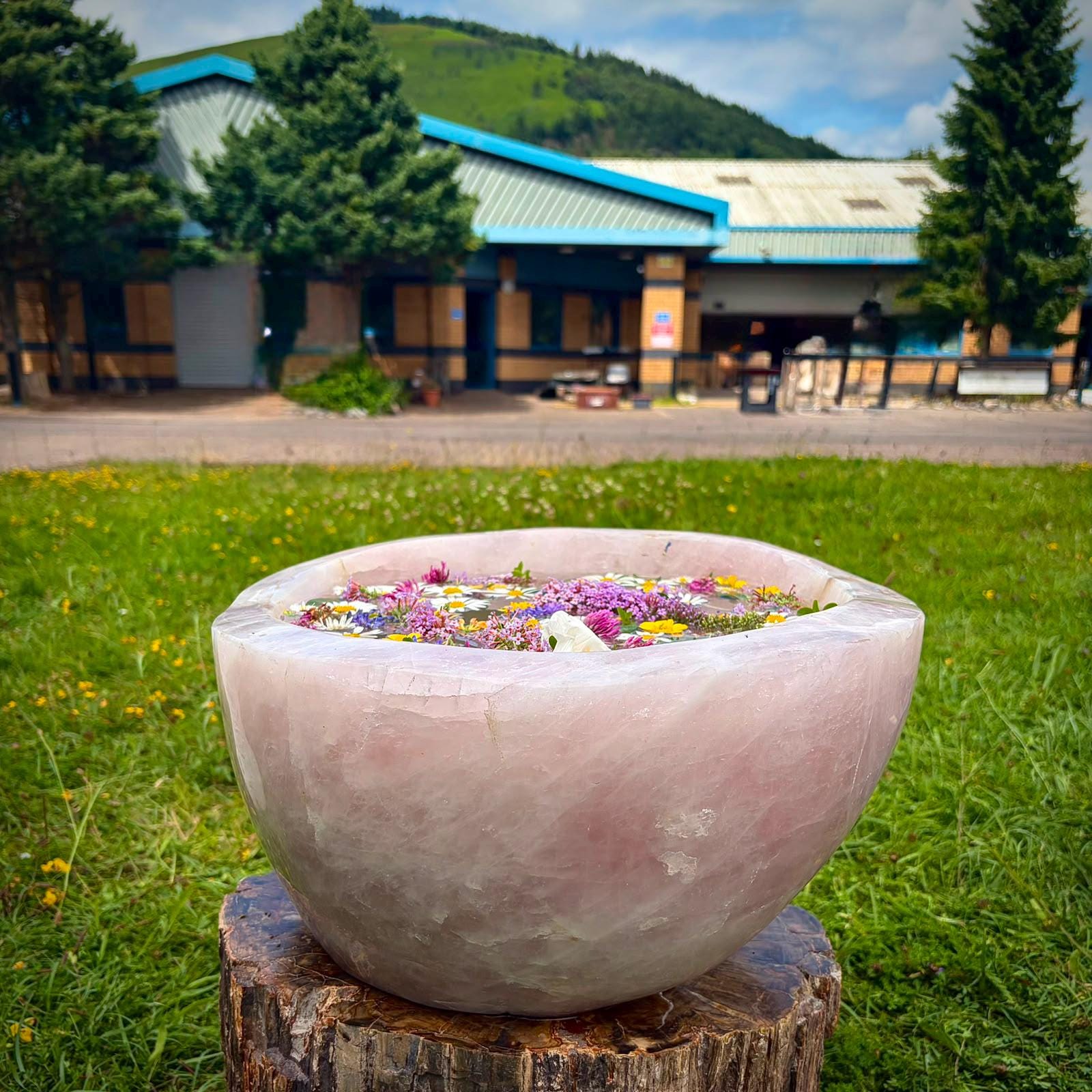 Large natural crystal bowl chosen as a bespoke feature for a design-led interior.