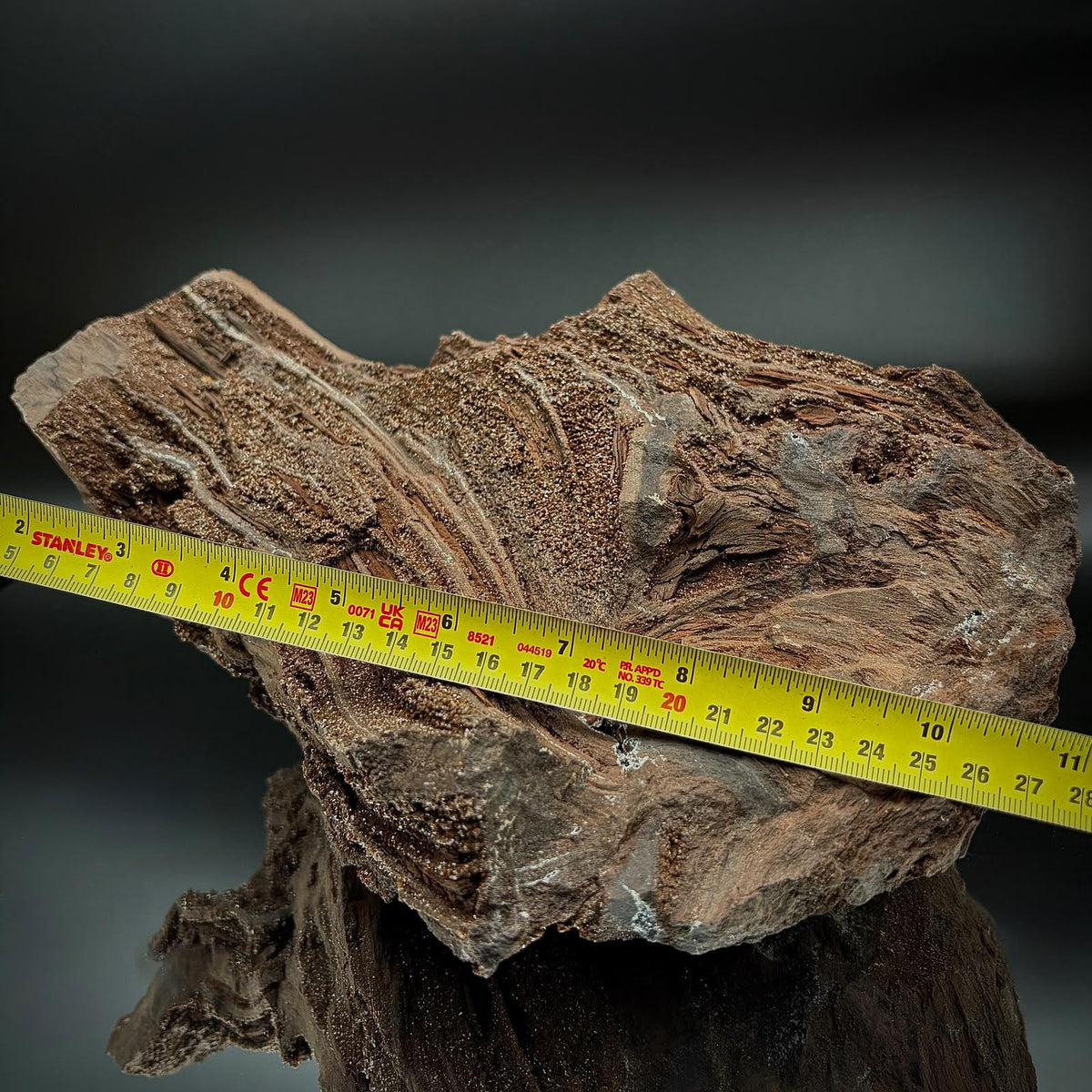 Large fossil wood specimen with sculptural natural form and sparkling Quartz druzy detail.