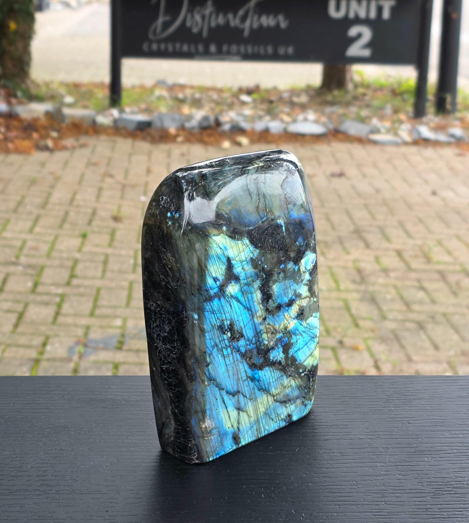 Bright blue labradorescence.