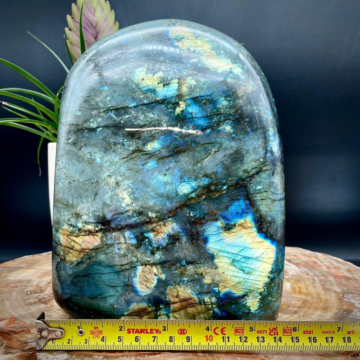 Large Labradorite crystal for distinctive home decor