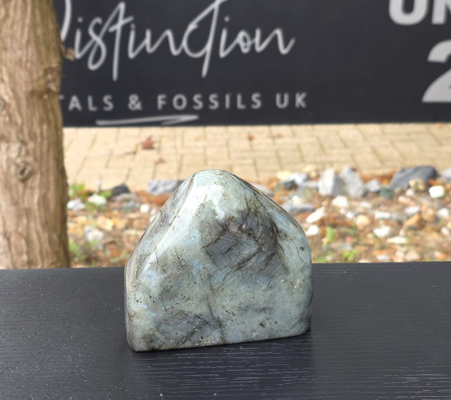 Full view showing shape and size.