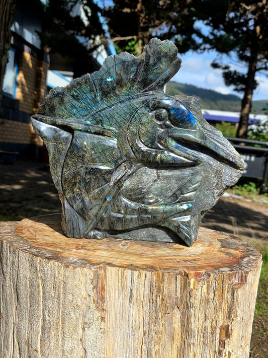 Large Madagascan Labradorite sailfish crystal carving