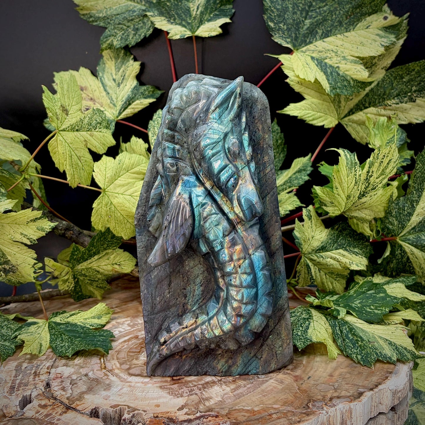 Large 29cm Labradorite seahorse sculpture
