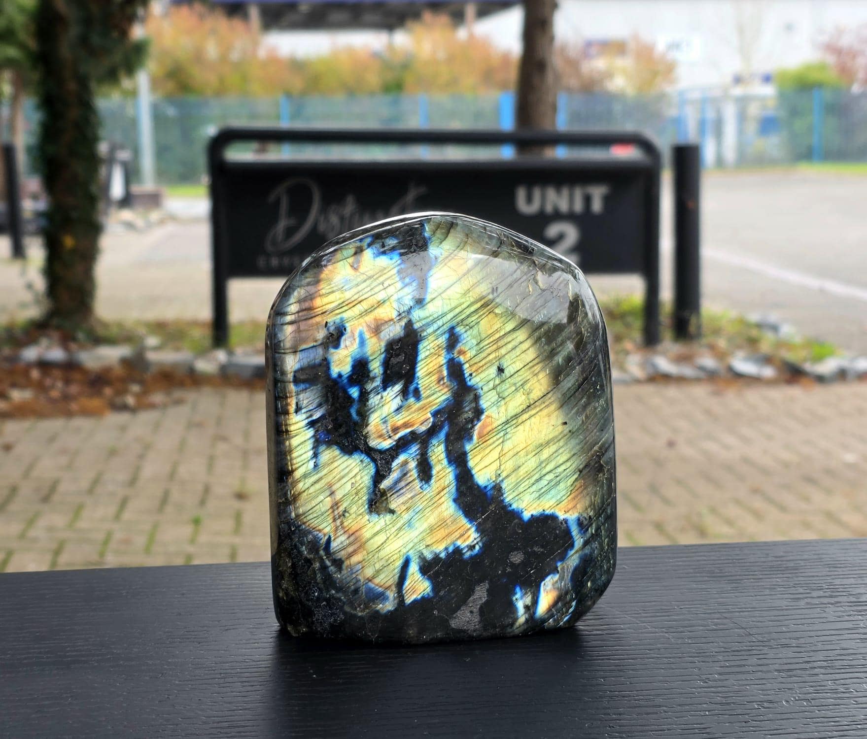 Front view of large labradorite specimen.