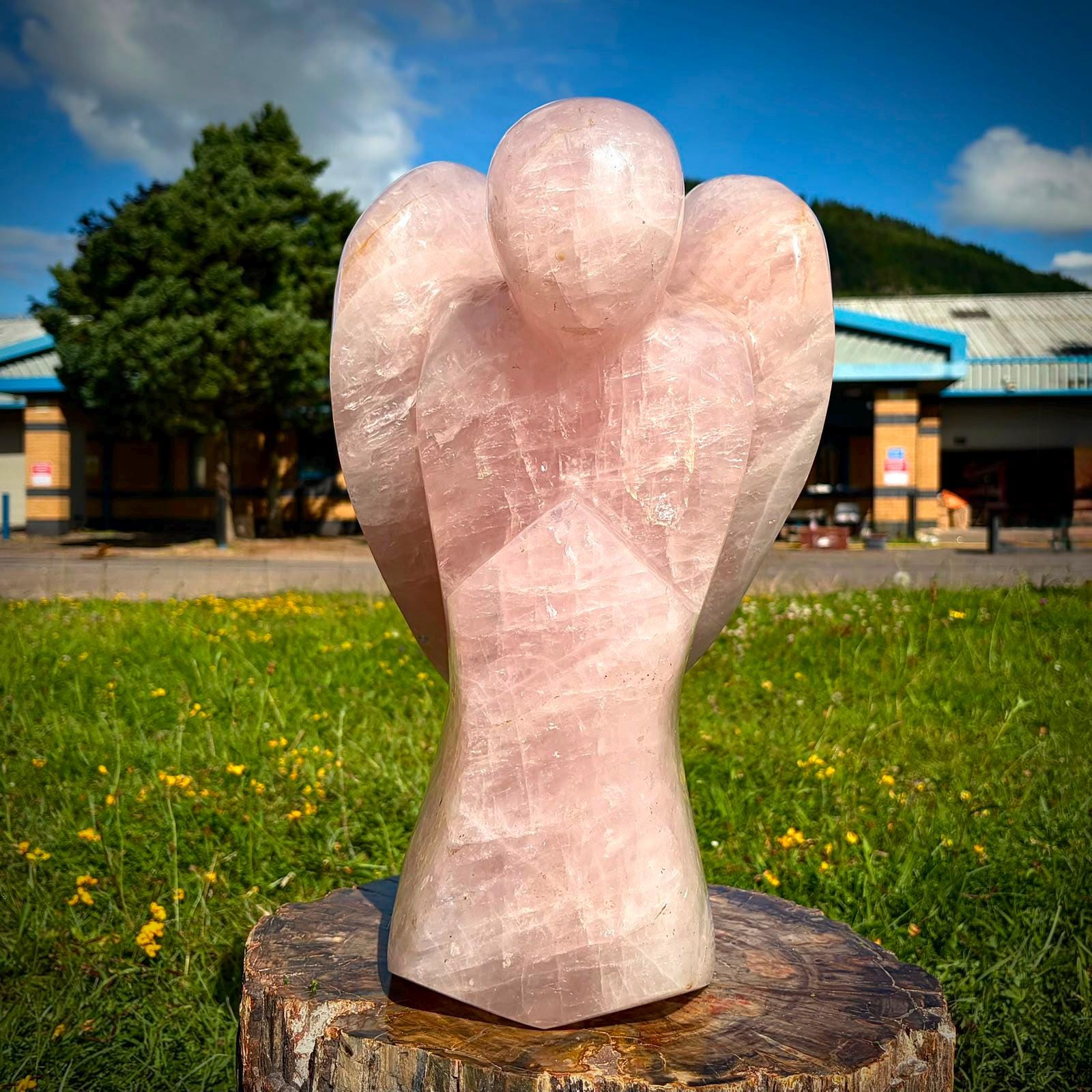 Large hand-carved Madagascan Rose Quartz angel with soft pink tones and polished detail.