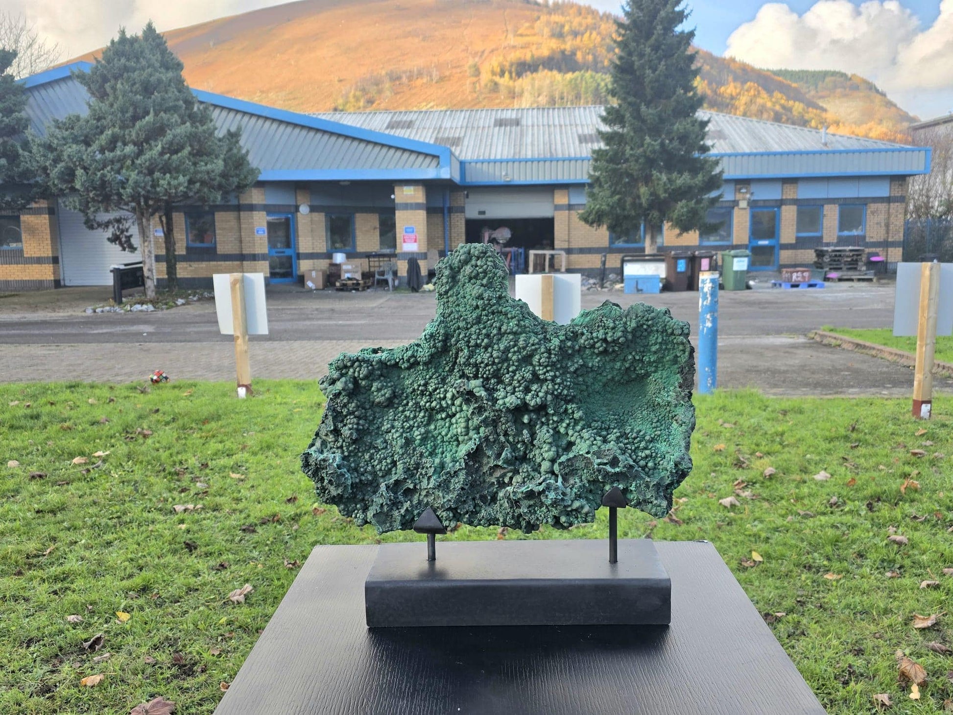 Large natural Malachite botryoidal crystal on display stand, front view