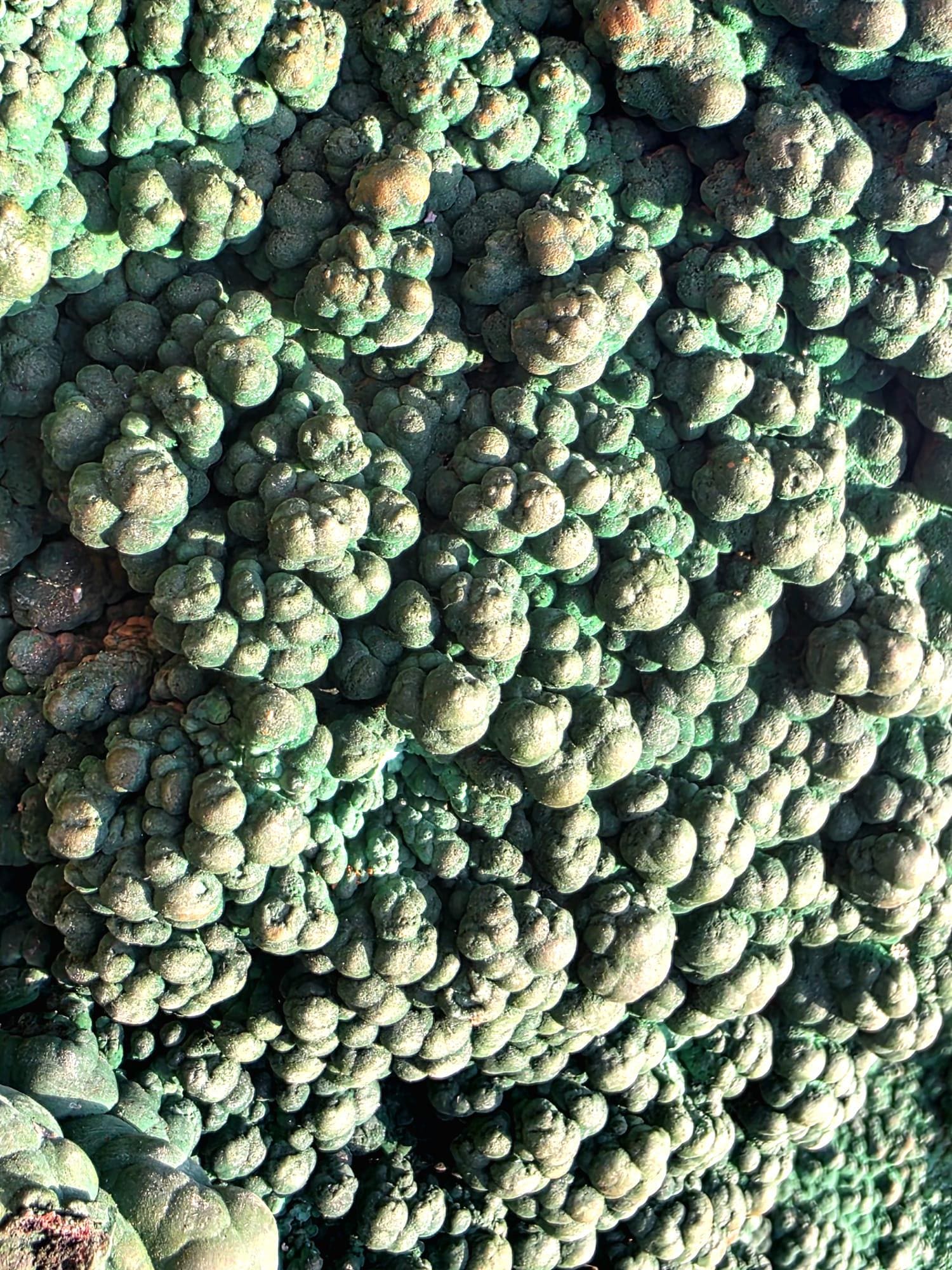 Side angle of large Malachite crystal on custom stand