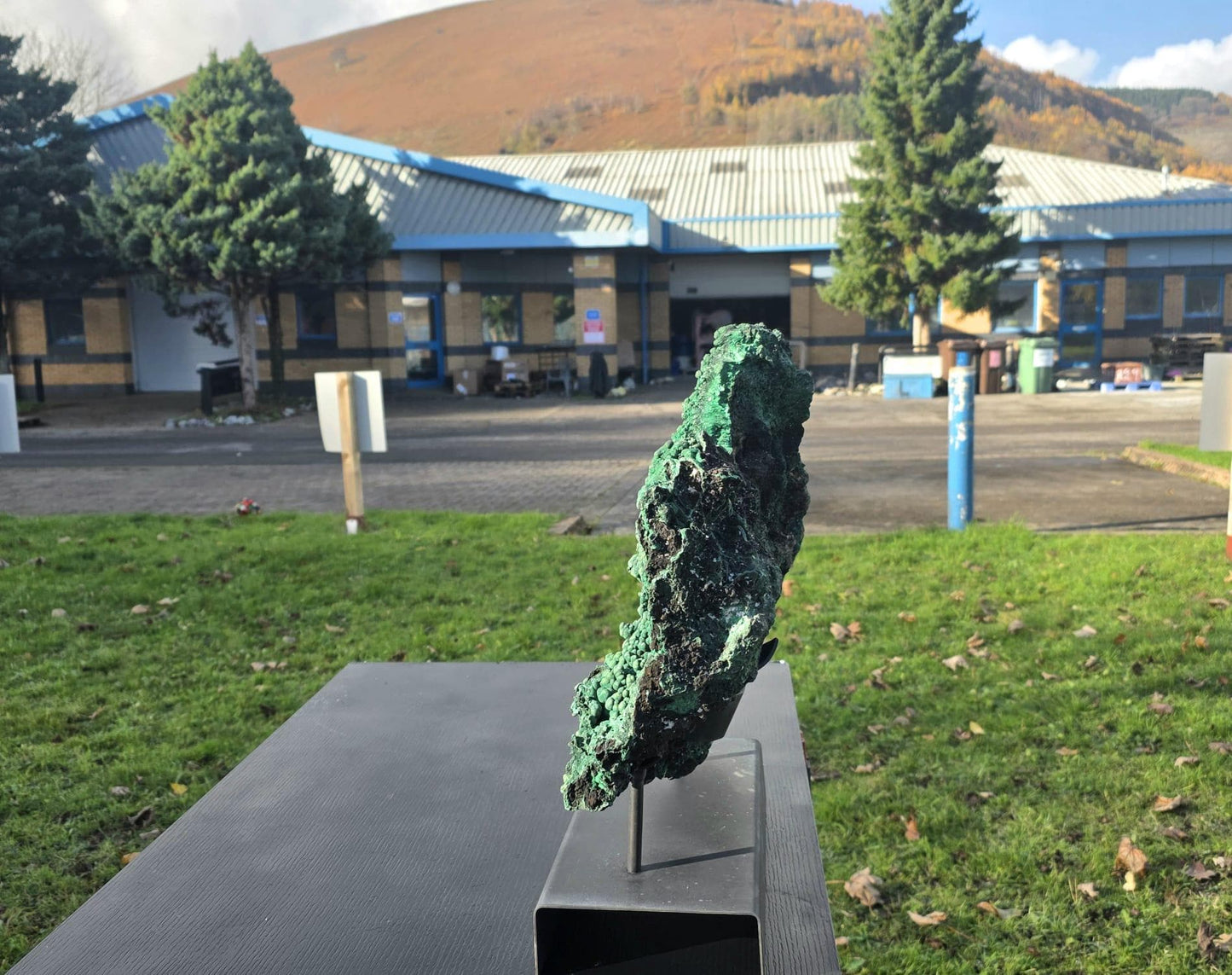 XL Malachite botryoidal crystal statement display piece