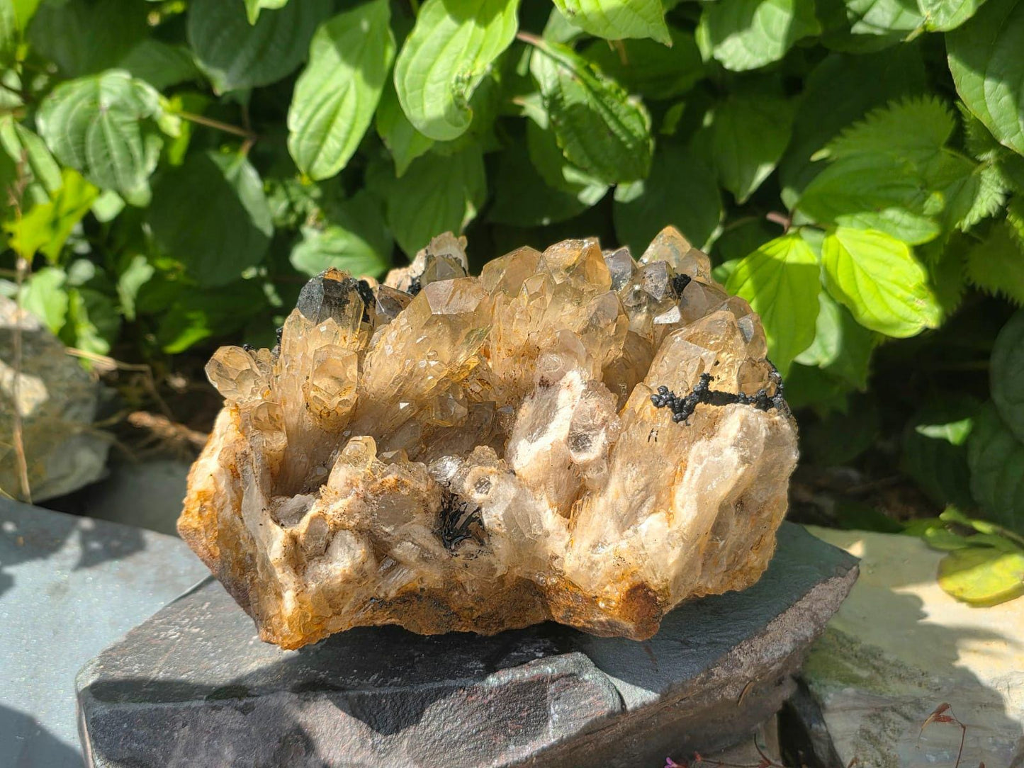 Large natural Citrine cluster handpicked by Distinction Crystals