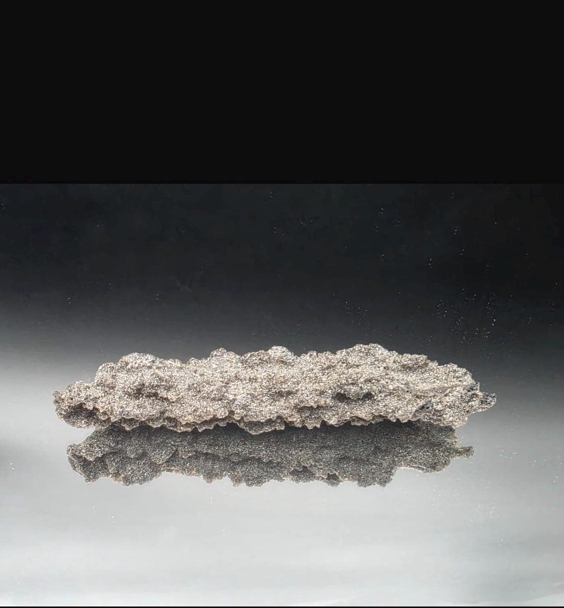 Large natural Fulgurite specimen formed by lightning in the Algerian Sahara.