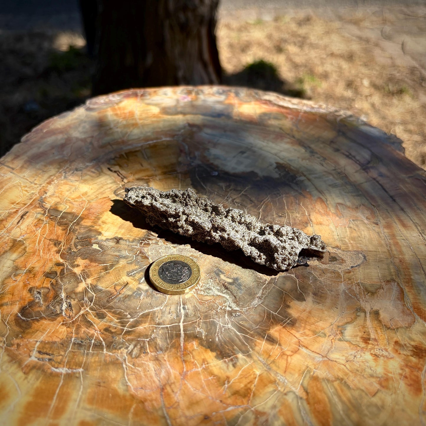 Side view showing the size and irregular structure of a large Algerian Fulgurite.