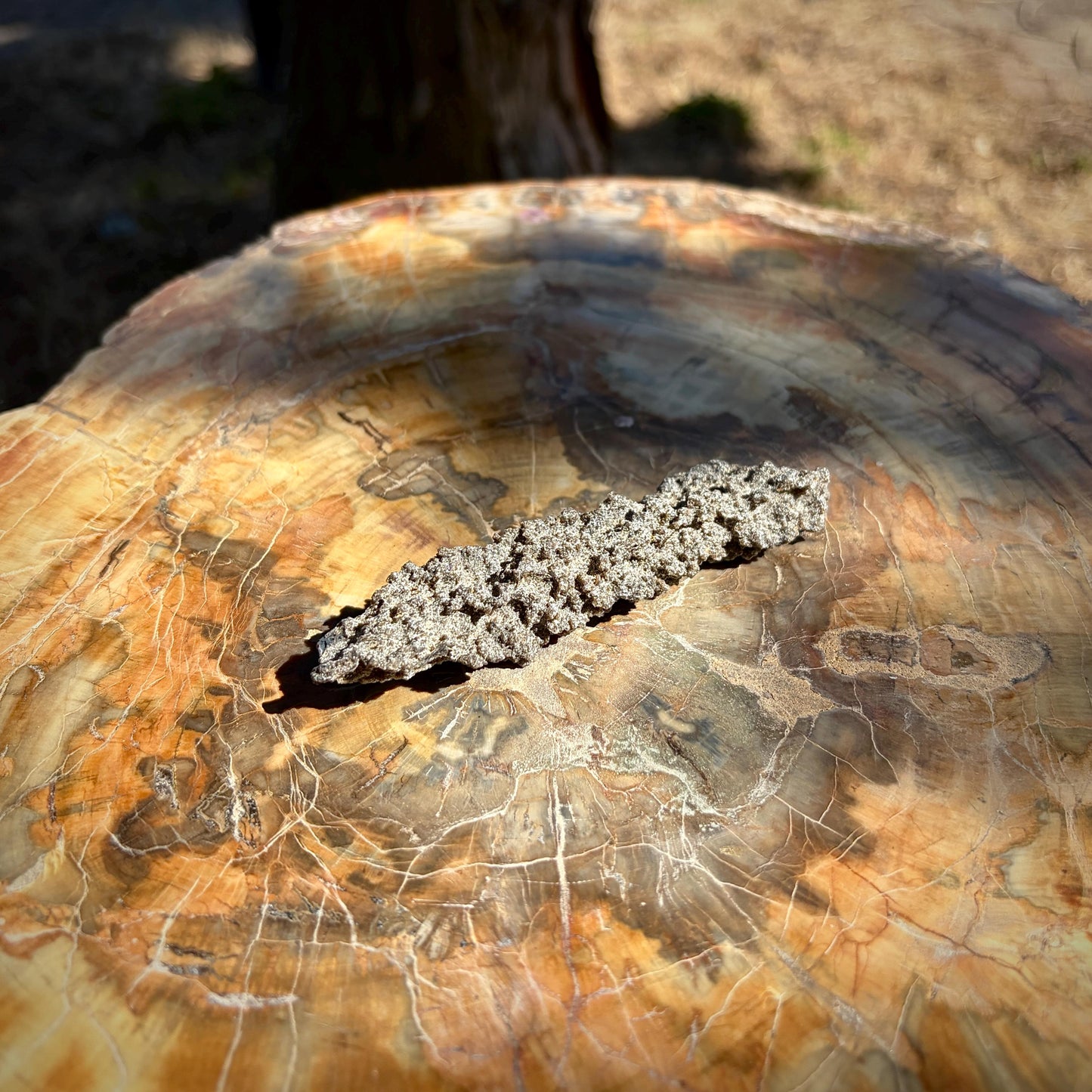 Close-up of the naturally fused sand and glass-like texture of the Fulgurite.