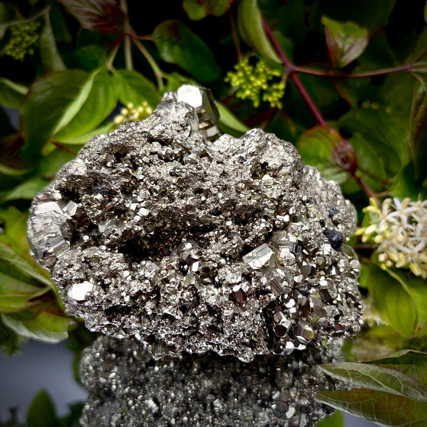 Large natural Pyrite cluster showing a dense matrix of reflective pyritohedral crystals.