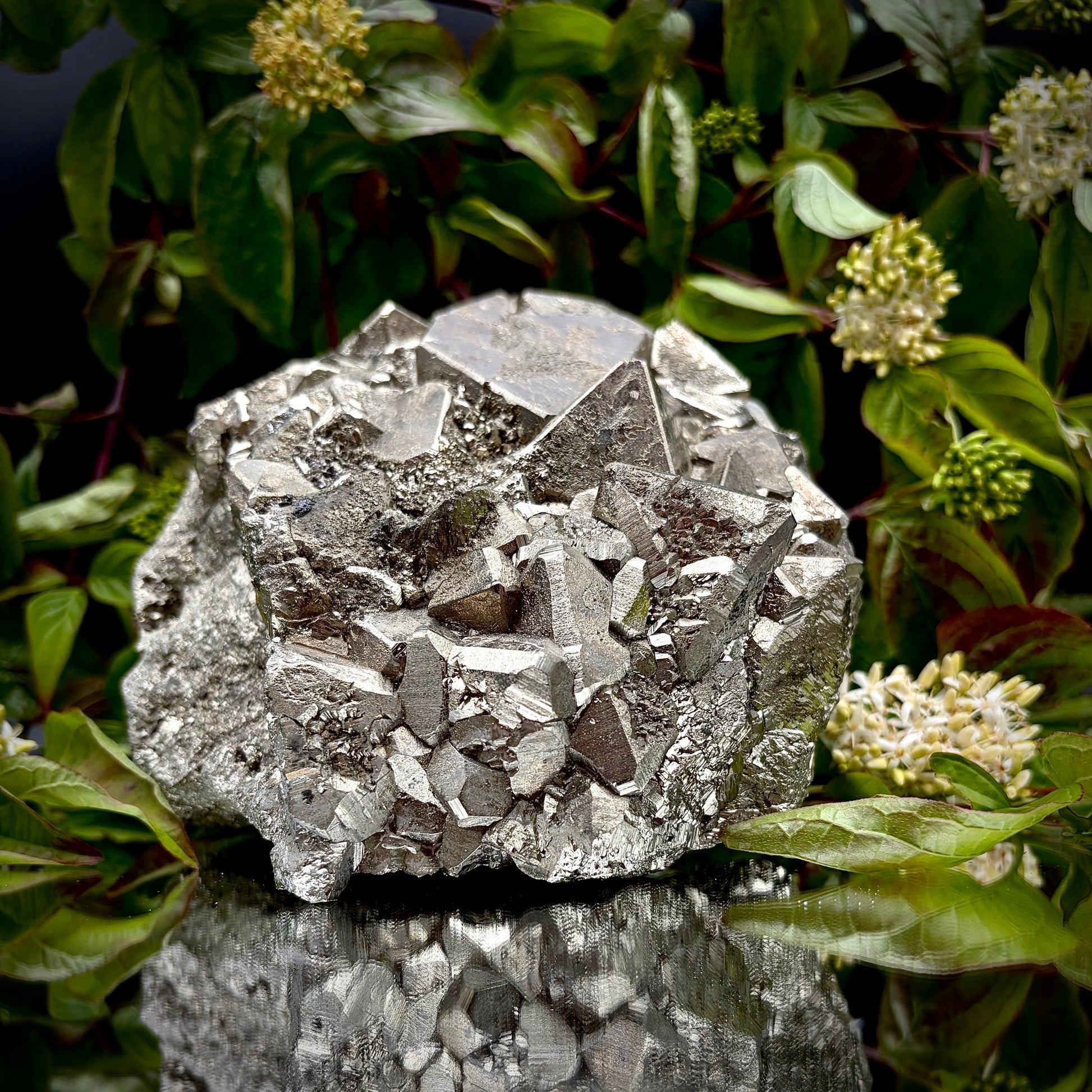 Large natural Pyrite cluster showing a dense matrix of reflective octahedral crystals.