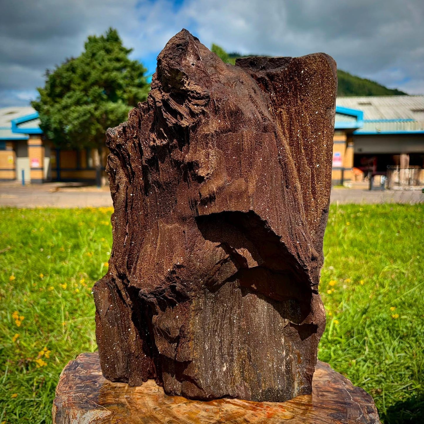 Front view of XL permineralised petrified wood with bright Quartz crystal coverage.