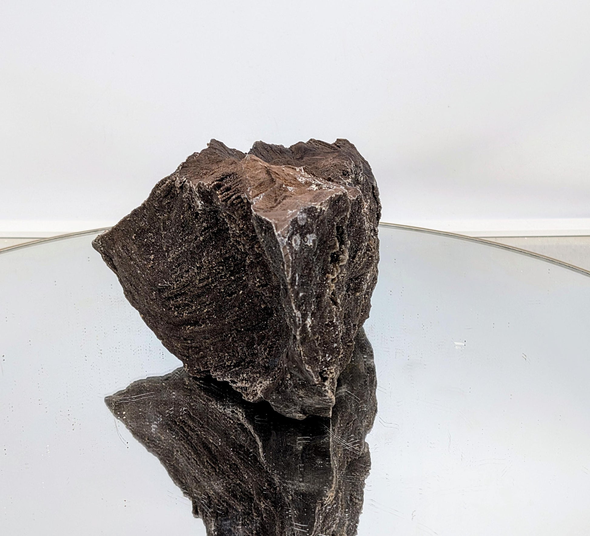 Large petrified wood with natural crystallization